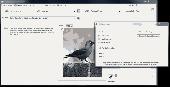 Bird Tick List Free Screenshot