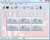 BitRope Burner Screenshot