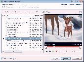 Screenshot of Bobabo Video Converter