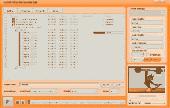 Screenshot of bvcsoft DVD to iPod Converter Suite