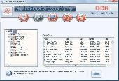 Data File Recovery Software Screenshot
