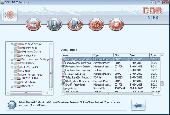 DDR NTFS Recovery Screenshot
