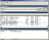 EMCO LAN File Search Screenshot