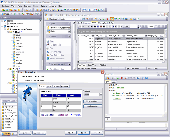 Screenshot of EMS SQL Manager 2005 for MySQL