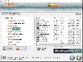 Screenshot of FAT32 File Recovery