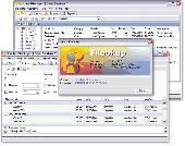 Screenshot of Filookup