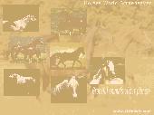 Screenshot of Horses World Screensaver