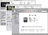 Screenshot of iMacsoft iPad Mate for Mac