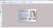 Screenshot of ID Card Application