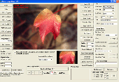 Screenshot of Image Viewer CP, EXIF FAX, TIFF ActiveX