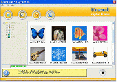 Kernel for Digital Photo Recovery Screenshot