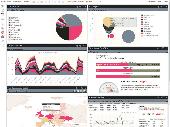 Logaholic Web Analytics & Web Stats Screenshot