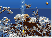 Screenshot of Marine Aquarium 3