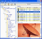 Screenshot of MS Backup Restore