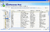 MS SQL Repair Screenshot