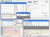 Screenshot of NBL Finance Tool