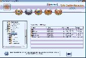 Screenshot of NTFS Disk Recovery