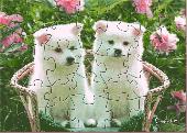 OSC Cute Puppies Puzzle Screenshot