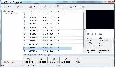 PC MP4 Player Converter Screenshot