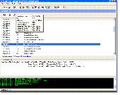 Screenshot of PE Explorer 1.98 R4