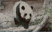 PH Panda Jigsaw Puzzle Screenshot