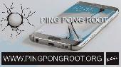 ping pong root Screenshot