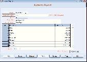 Professional Accounting Software Screenshot