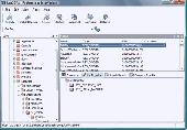 RegCOPA Registry Editor Screenshot
