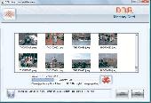 SD Card File Recovery Screenshot