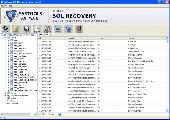 SQL 2008 Recovery Screenshot