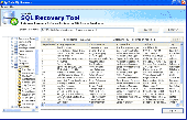 SQL Server Database Recovery Screenshot