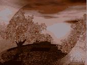Screenshot of SS Autumn Sunset - Animated Desktop ScreenSaver