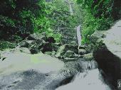 Screenshot of SS Jungle Waterfall -Animated Desktop Screensaver