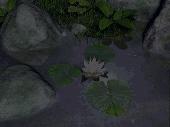 Screenshot of SS Water Lily - Animated 3D Screensaver