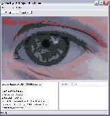 VeriEye Algorithm Demo (For Windows) Screenshot