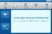 Screenshot of wGXe Data Recovery Professional