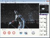 Screenshot of Webcam Surveillance Monitor
