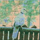 Screenshot of white pigeon puzzle