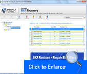 Windows Backup Recovery Software Screenshot