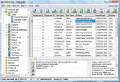 Screenshot of xBaseView Database Explorer