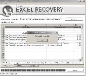 Screenshot of XLS Excel Recovery
